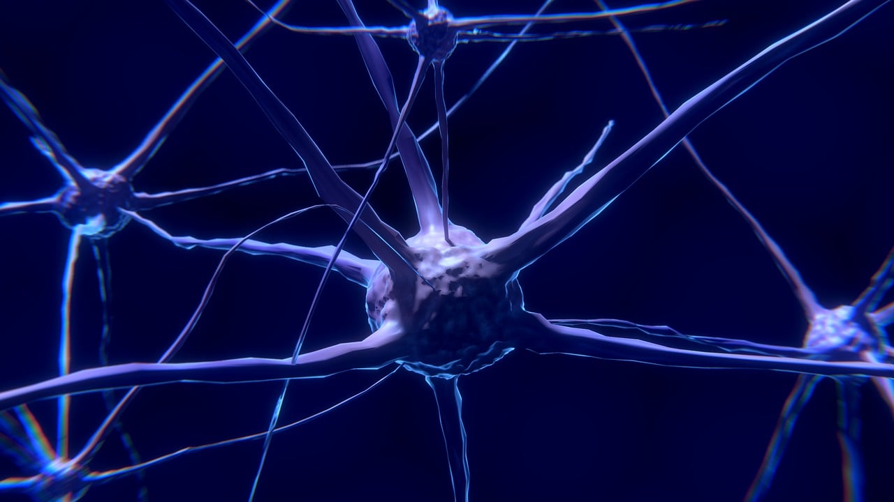 FinalSpark et les Cellules Cérébrales Humaines